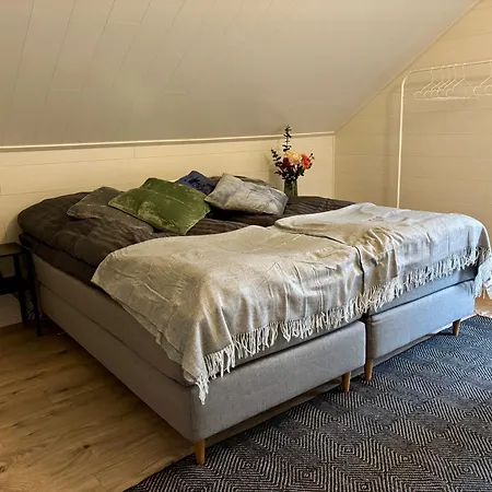 Pine Forest Hideout - Tapiontytaer