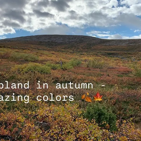 Pine Forest Hideout - Tapiontytaer Villa *