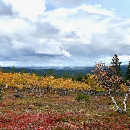 Villa Pine Forest Hideout - Tapiontytaer Kittilä