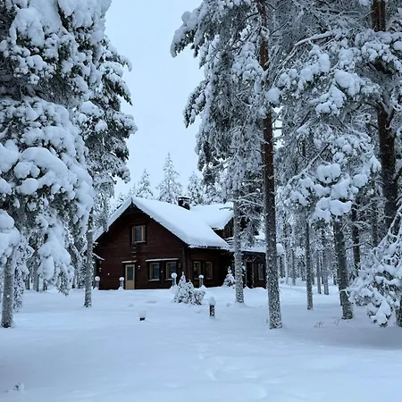 Pine Forest Hideout - Tapiontytaer *
