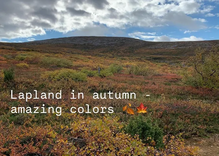 Pine Forest Hideout - Tapiontytaer 빌라 *