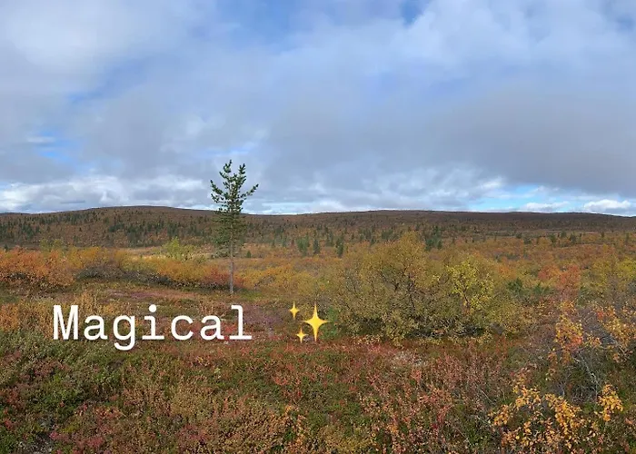 Pine Forest Hideout - Tapiontytaer 빌라