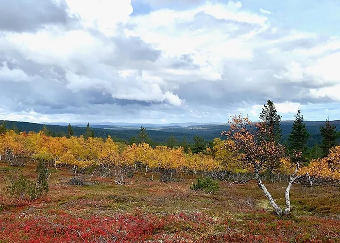 빌라 Pine Forest Hideout - Tapiontytaer Kittilä