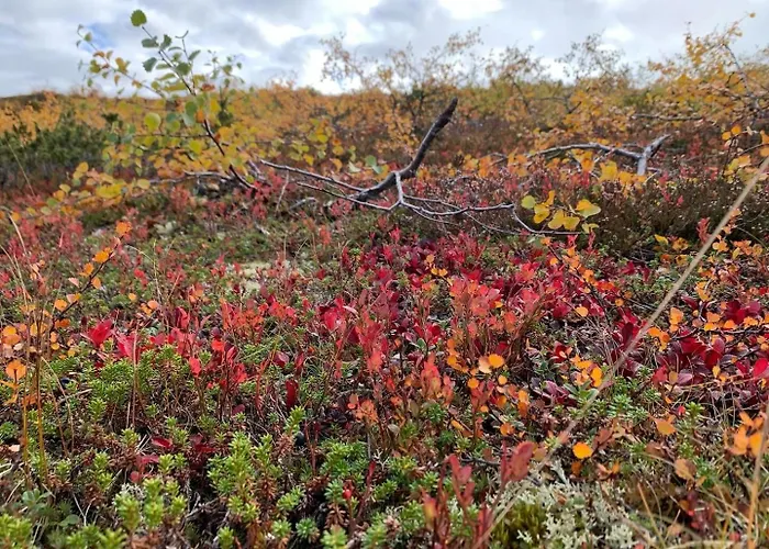 Pine Forest Hideout - Tapiontytaer 빌라 *